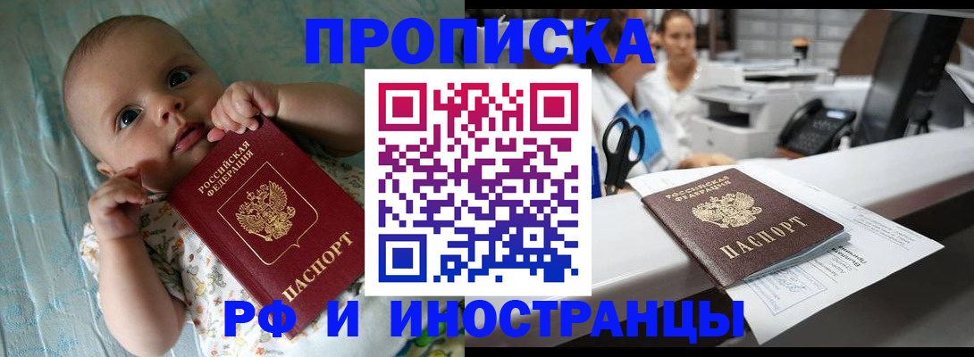 прописка поиск в Кудрово